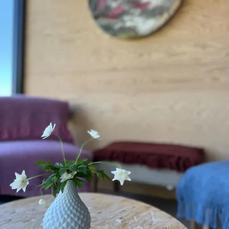 Mini Hut With Fjord View