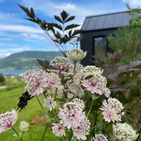 Mini Hut With Fjord View بيت للعطل *